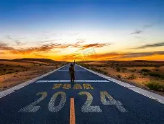 纽卡斯尔足球俱乐部主力阵容